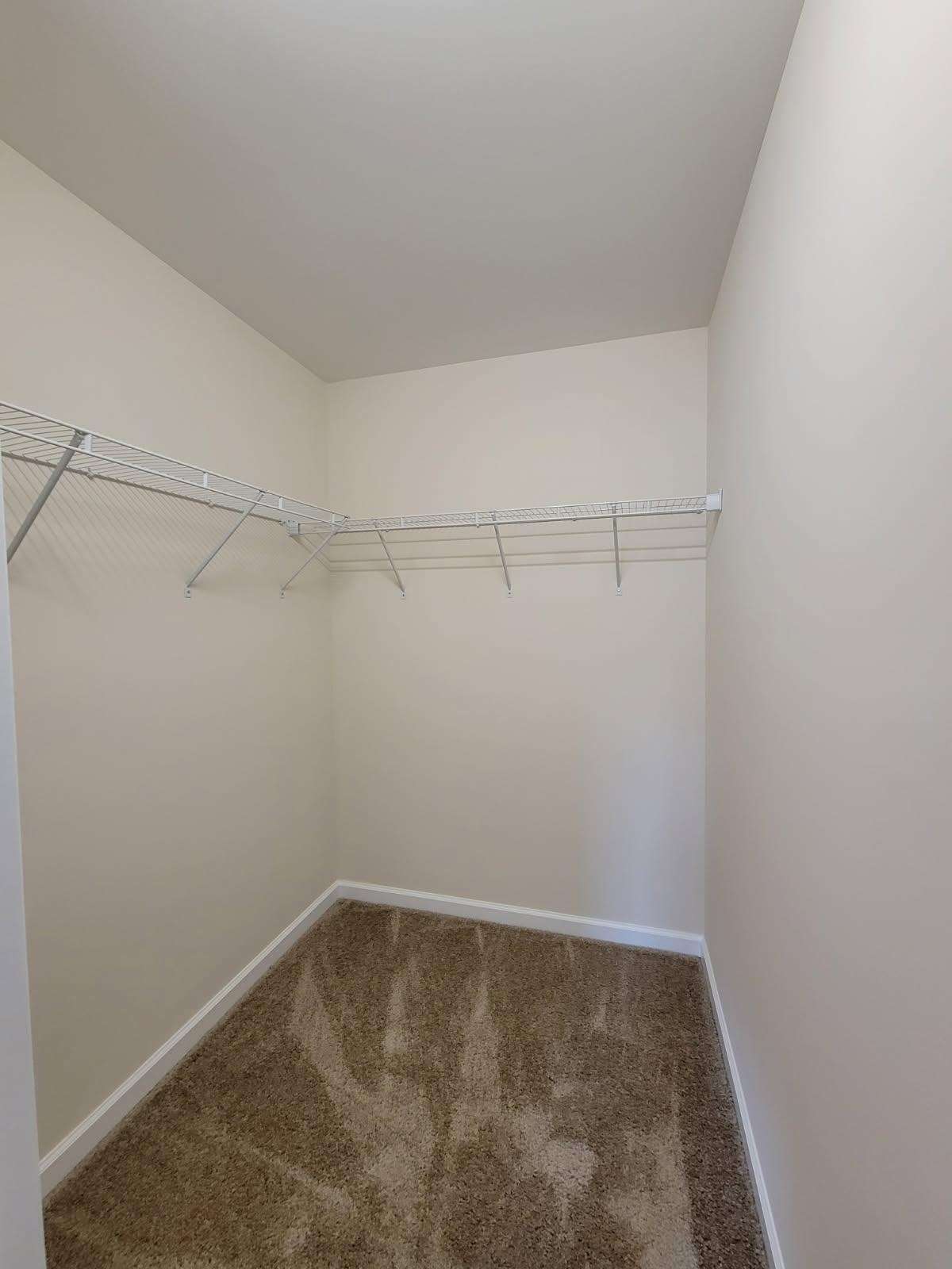 Master Walk-in closet