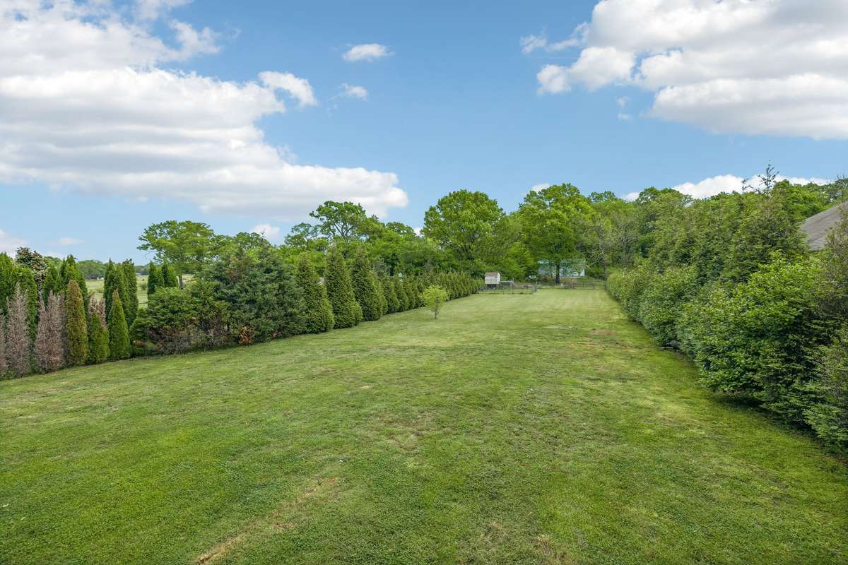 Beautiful backyard!