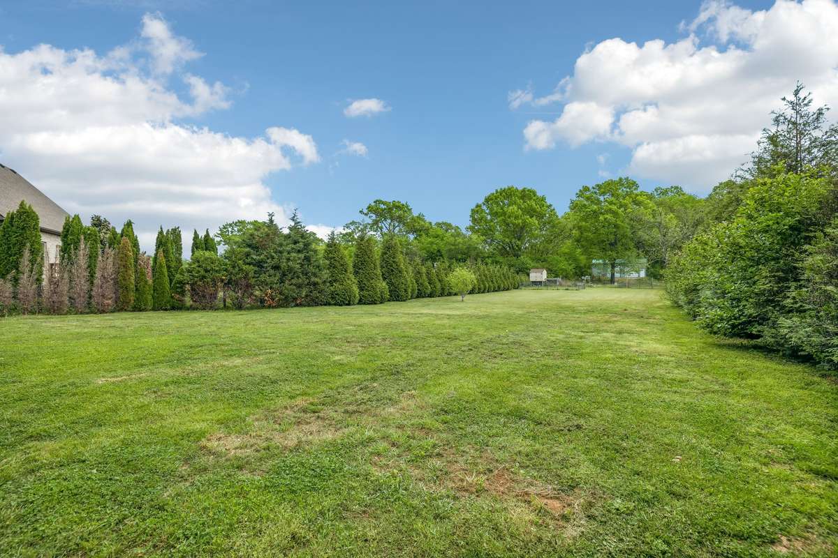 Private backyard