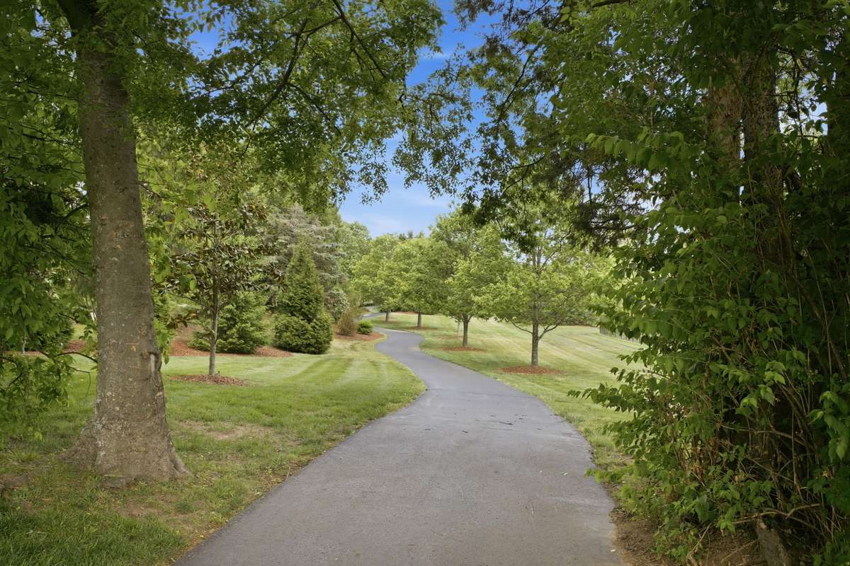 View down Concord Hunt Bike Path from the common area lot adjacent to the property.