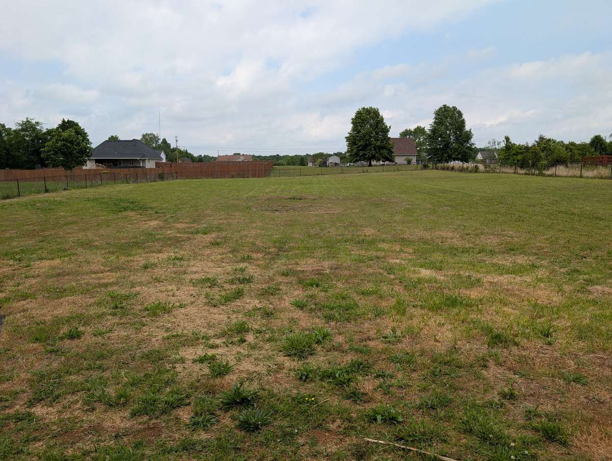 Large back yard enclosed by chain link fence