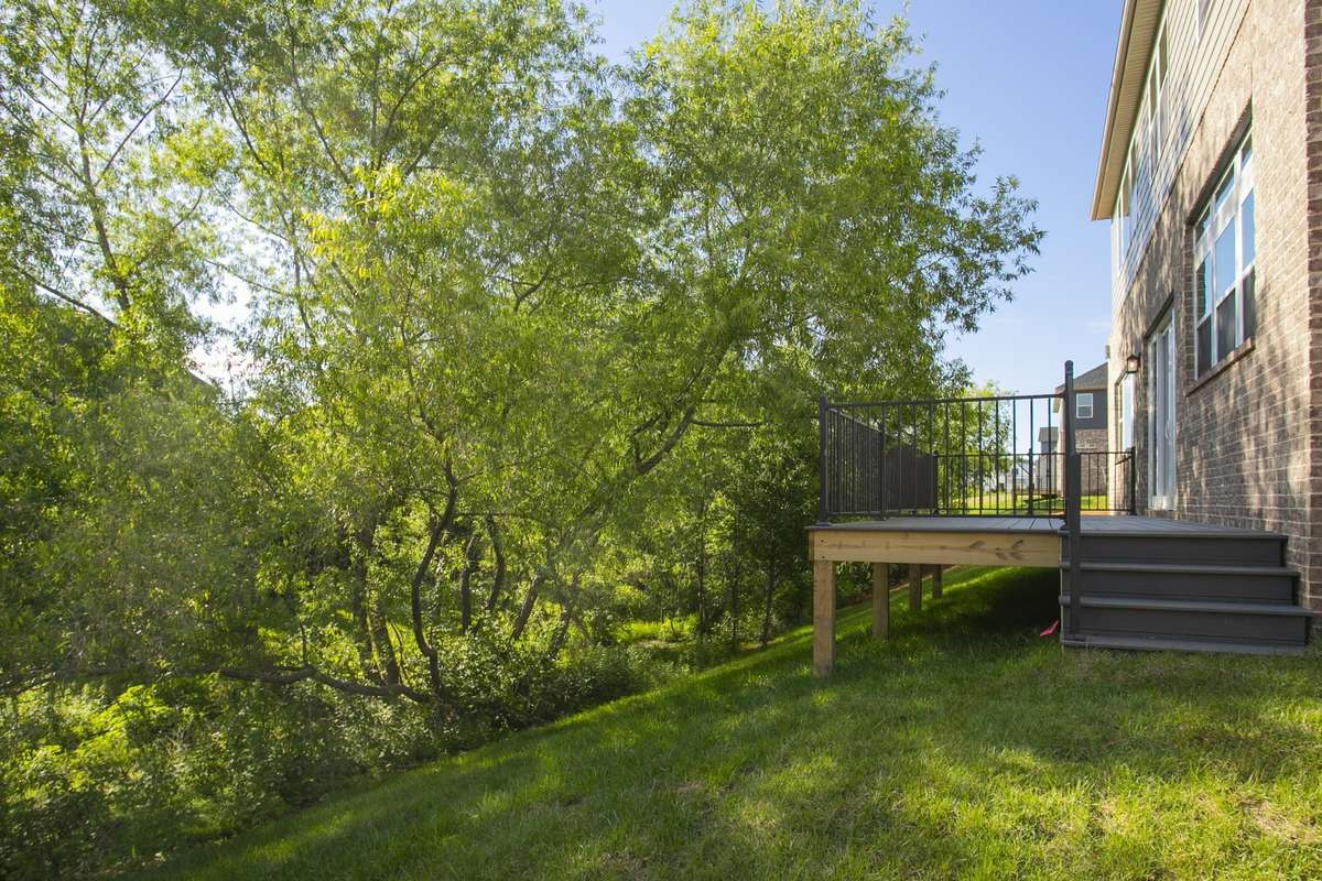 view of the back yard