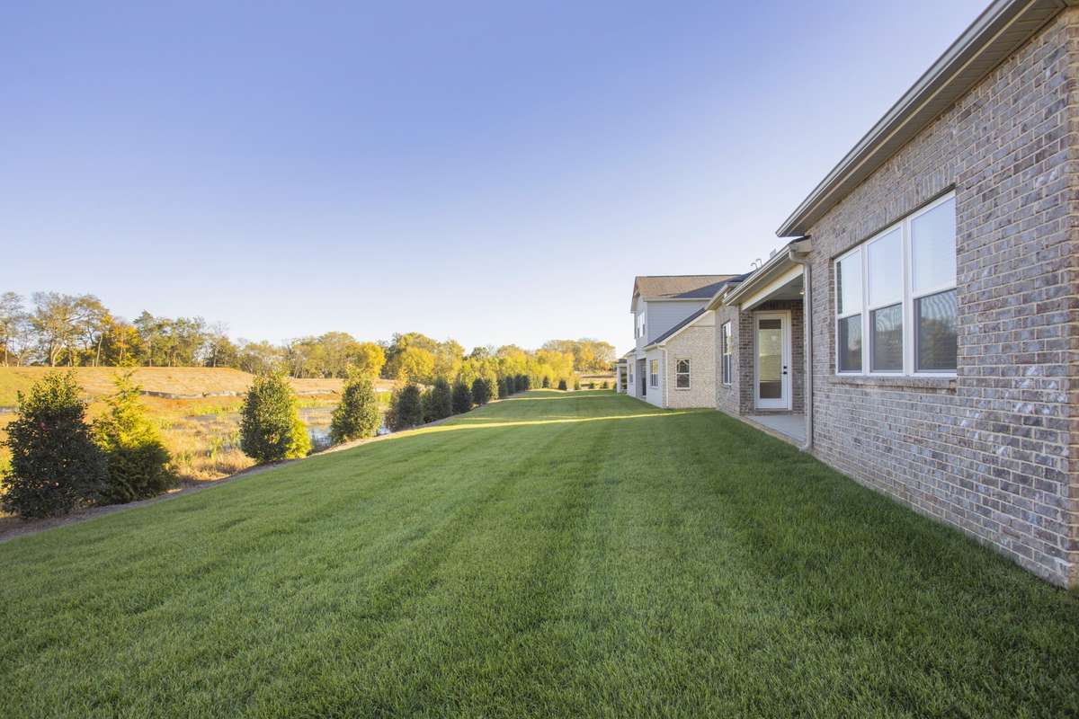 Back yard