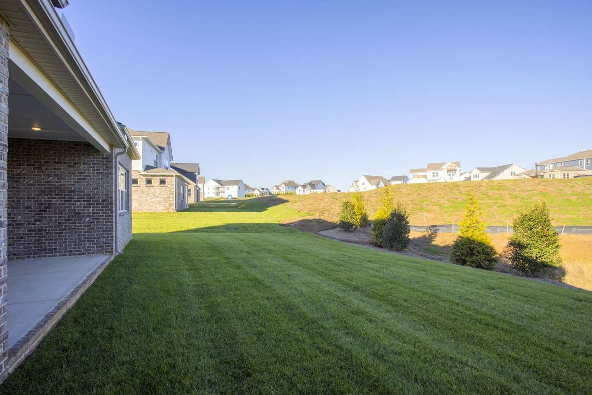 Another view of the back yard