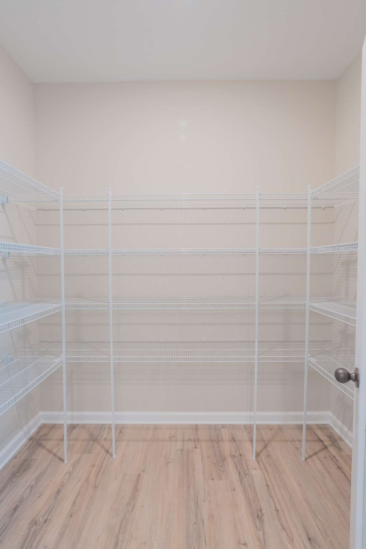 HUGE Pantry with TONS of Shelving!