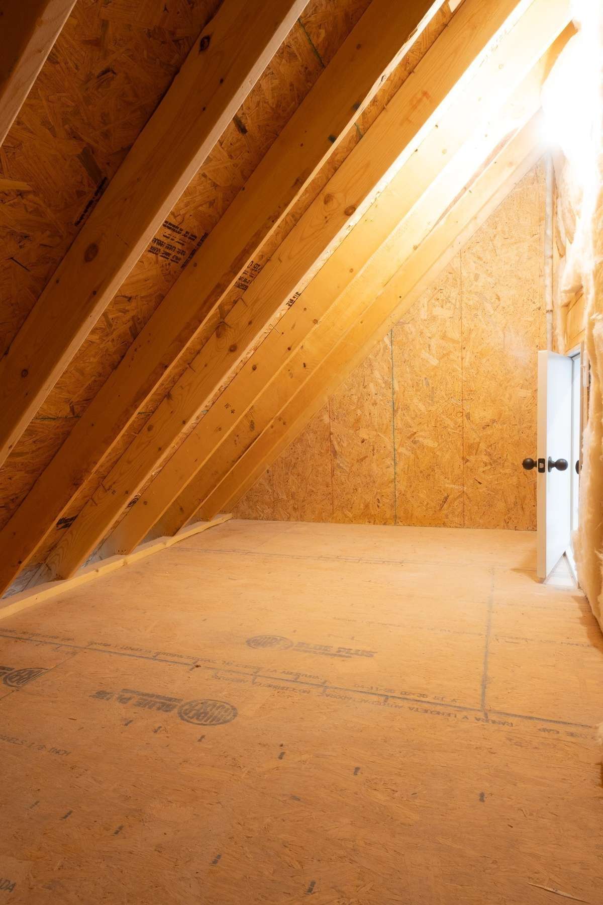 Storage Space Inside of one of the Primary Bedroom Closets!