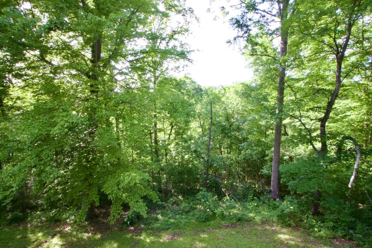 Nature loving yard.