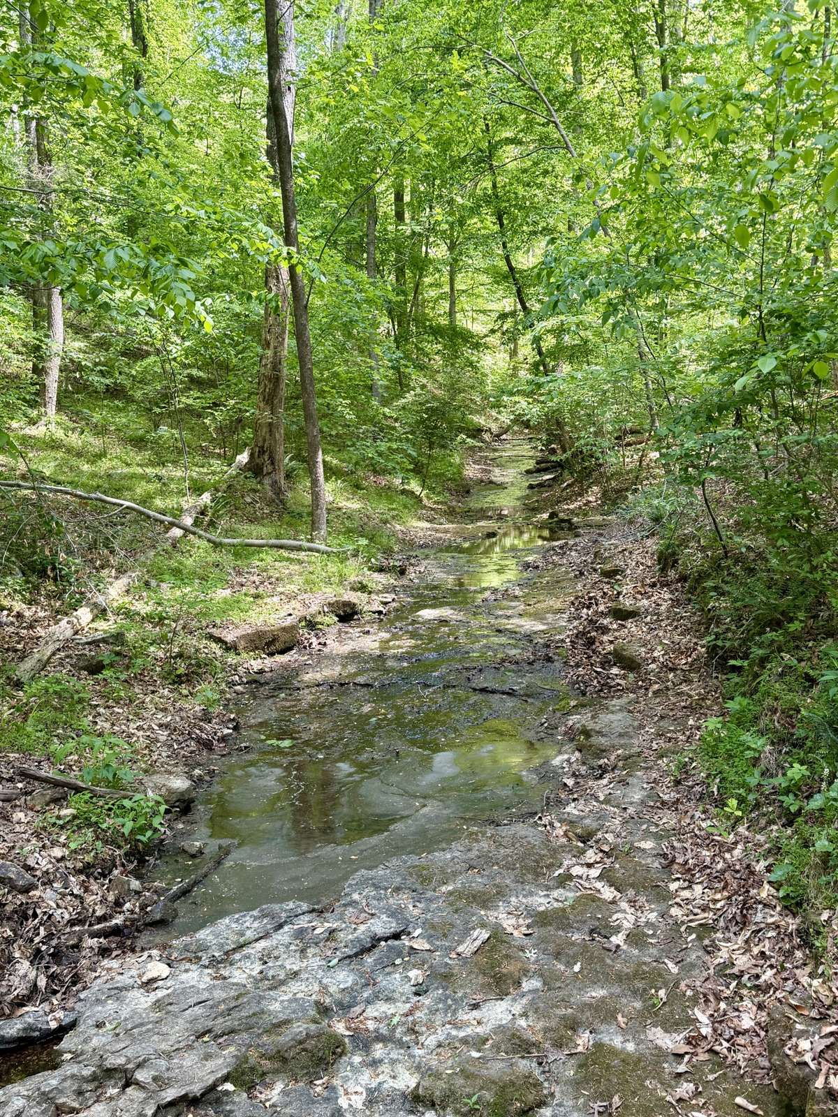 Beautiful creek