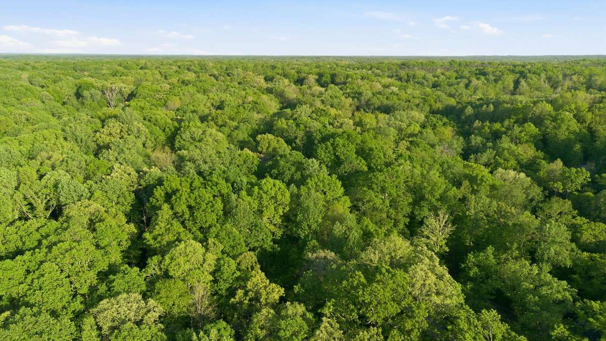 Drone shot