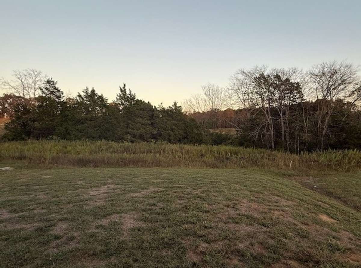 This home includes a large backyard backing up to a beautiful, treed space, offering a private and tranquil natural setting. Perfect for outdoor activities, gardening or simply relaxing in your peaceful retreat.