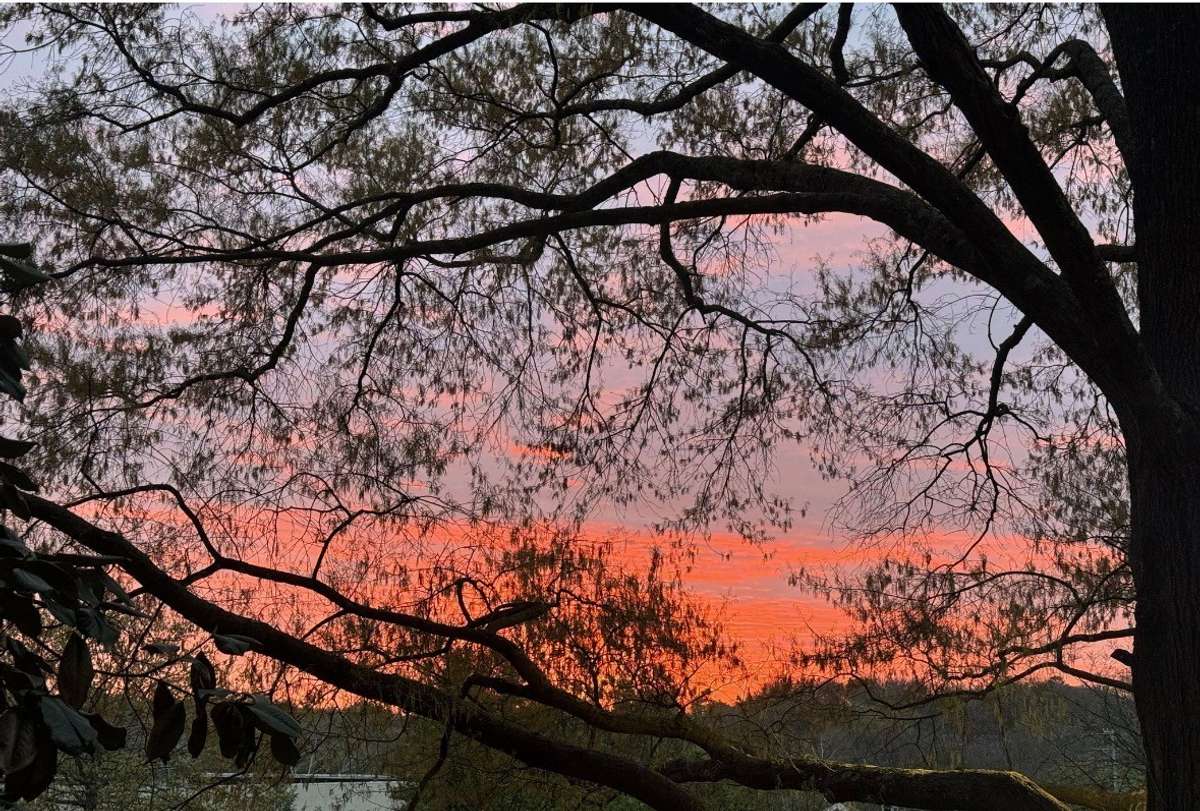 Sunset views to enjoy from your living room window and even more views upstairs on the rooftop deck.