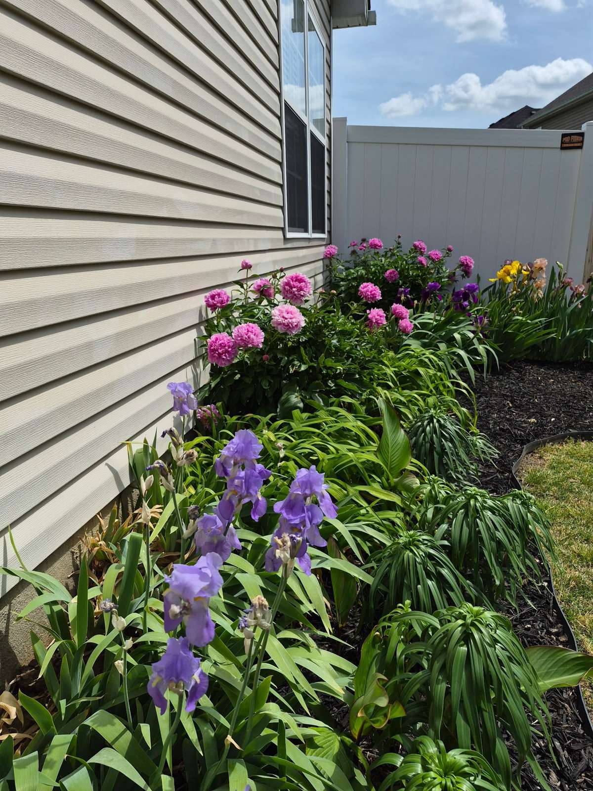 This is down the side of the home!
