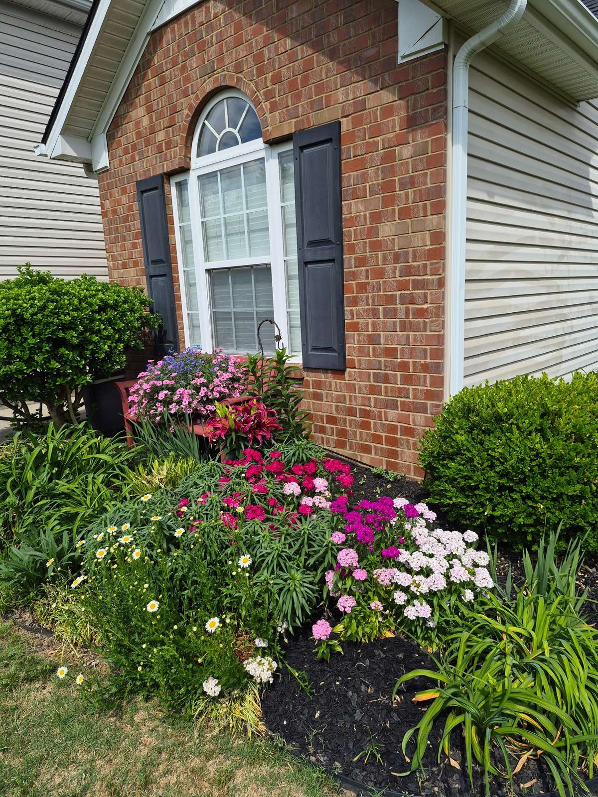 Flowers, Flowers, Flowers!