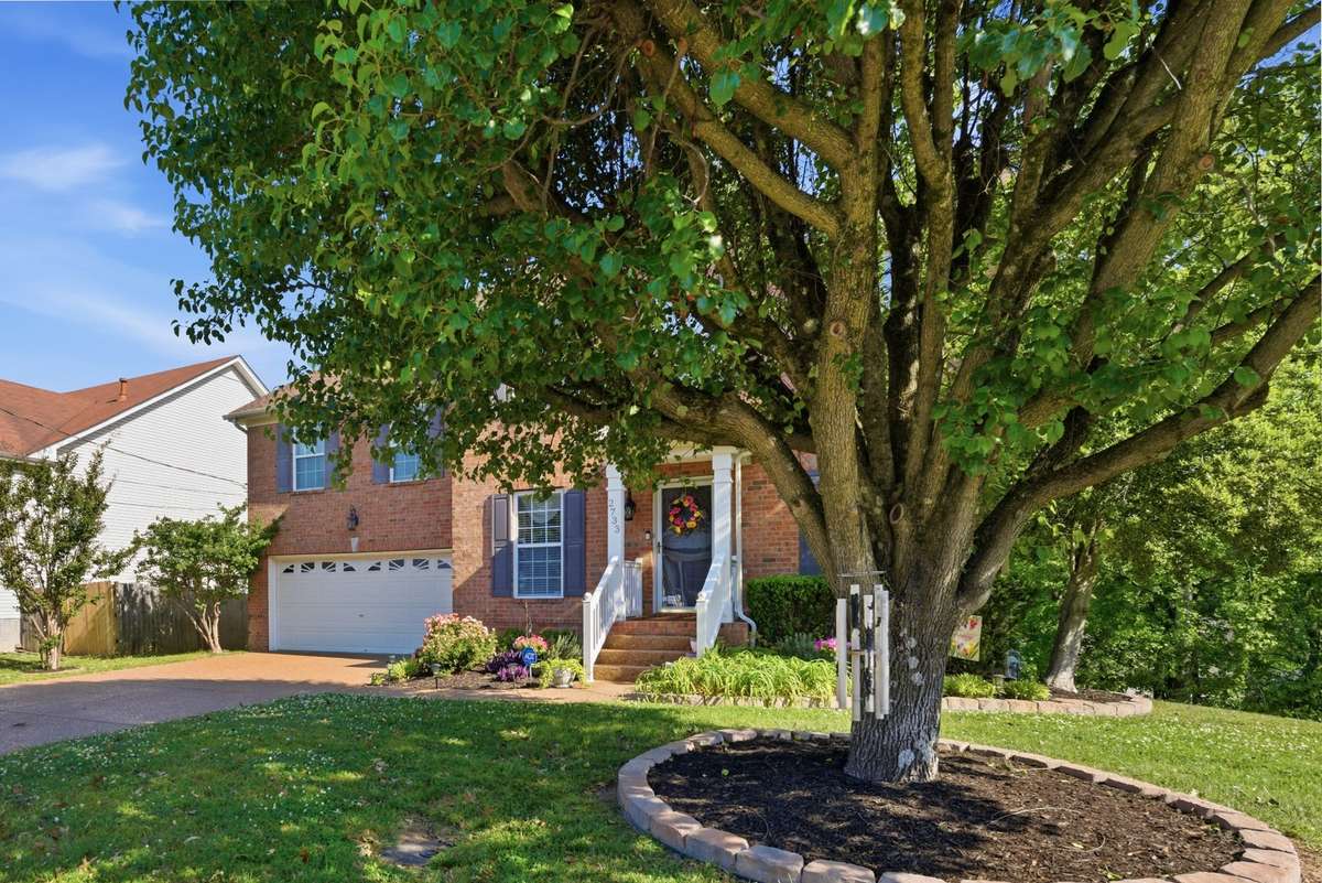 Mature trees to shade when needed.
