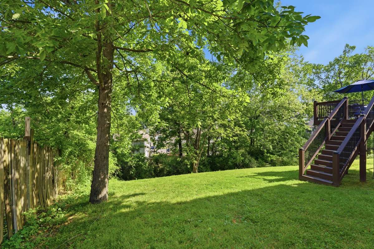 Beautiful Park-like backyard