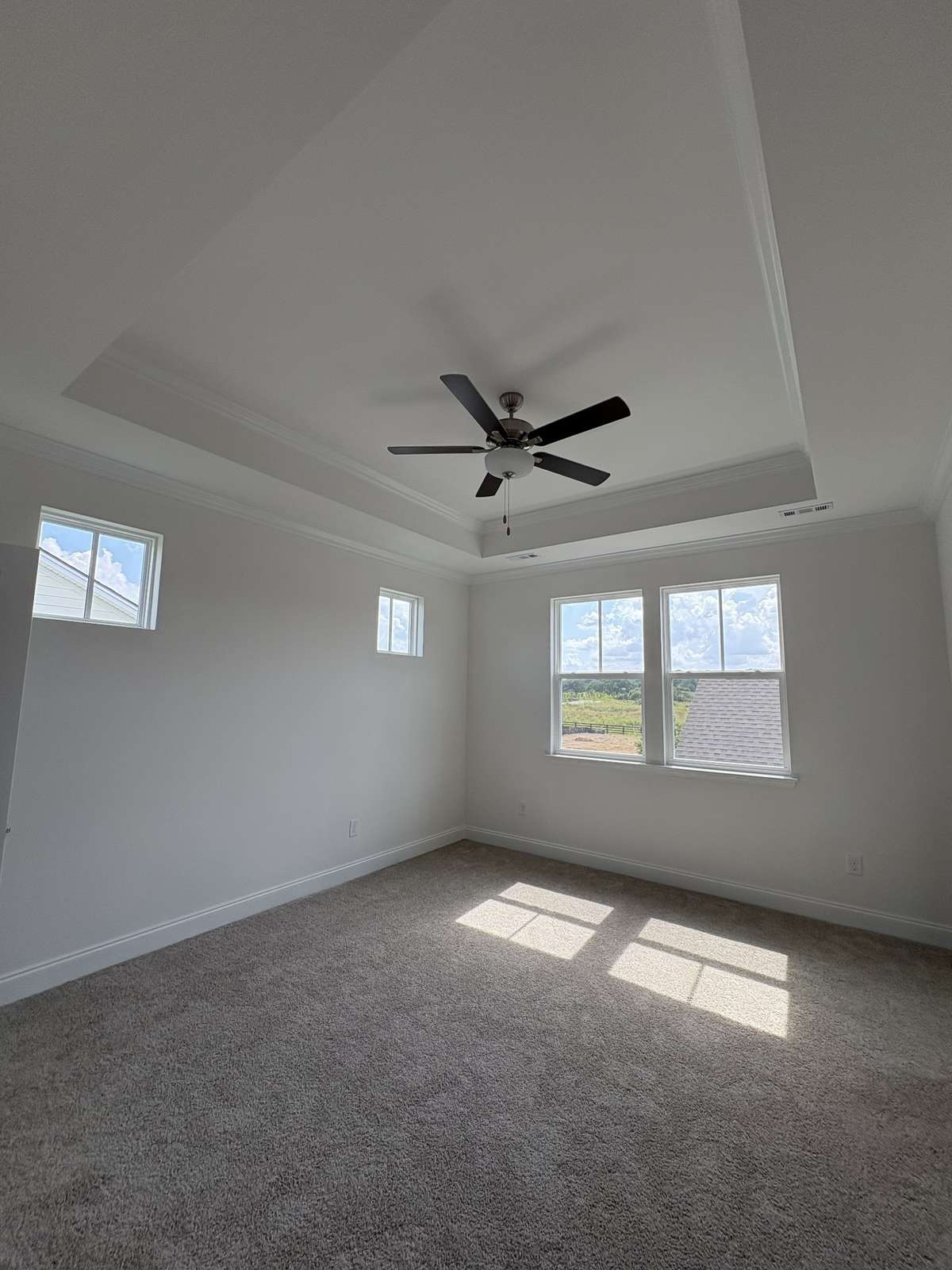 Master Bedroom with Trey Ceiling.