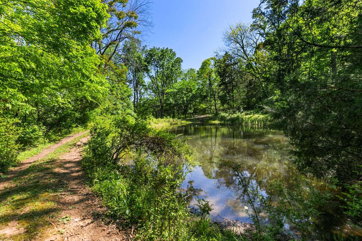 Spring-fed pond. Lots of fish and there are some big boys in there…