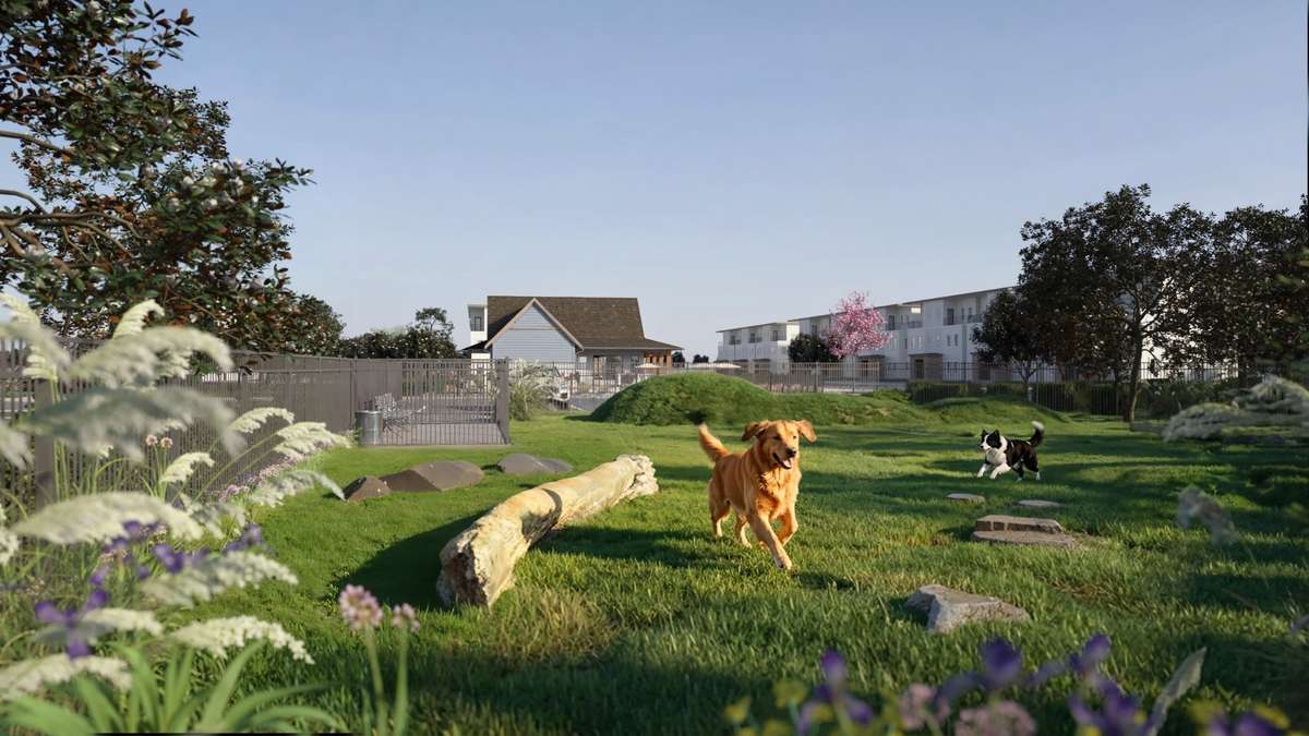 Dog park for all our furry friends!