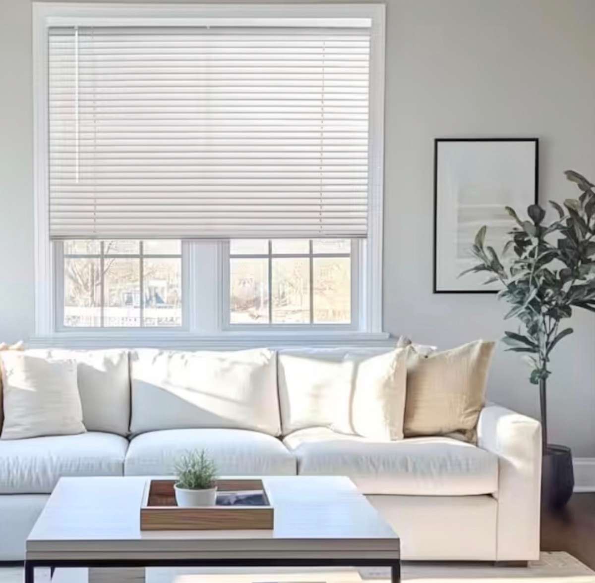 Whole House Window Blinds Included ay No Charge.