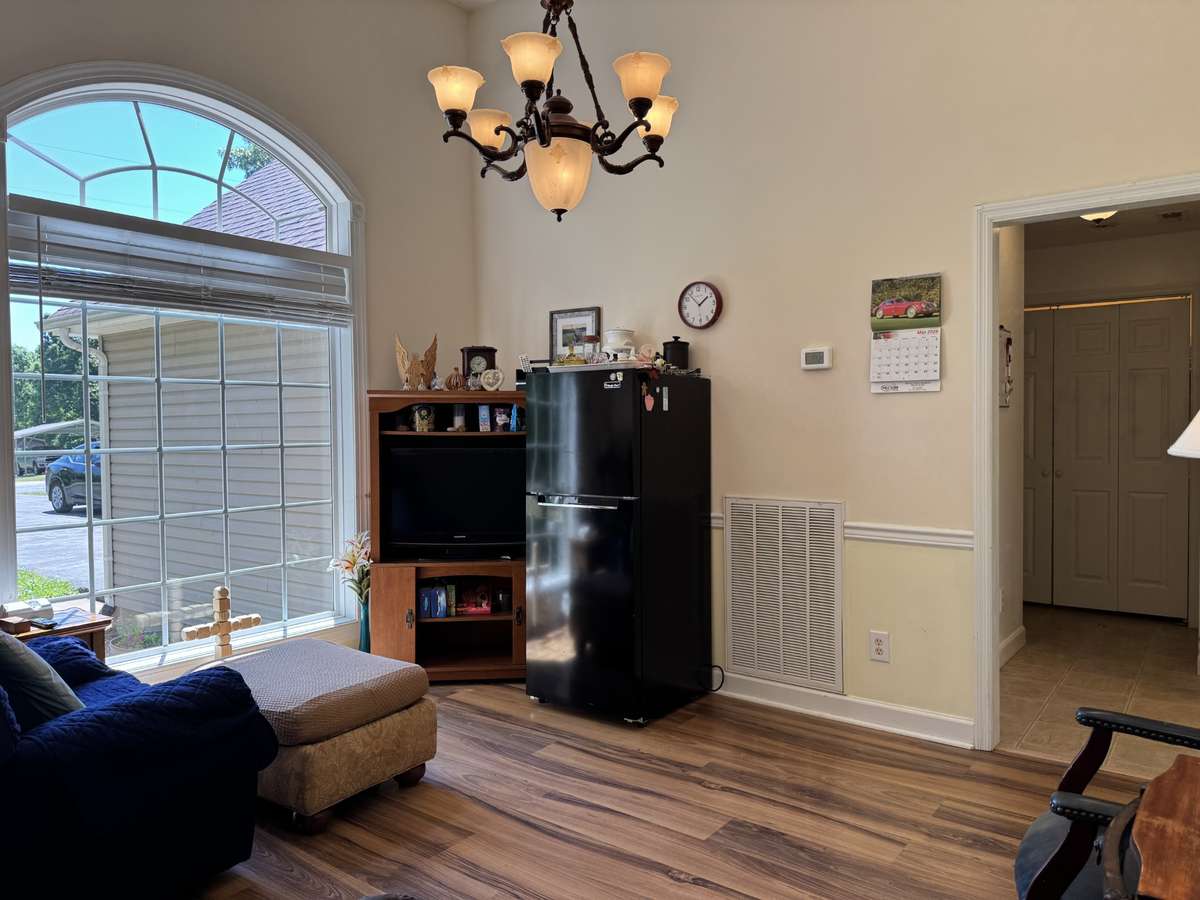 Gorgeous Natural Light