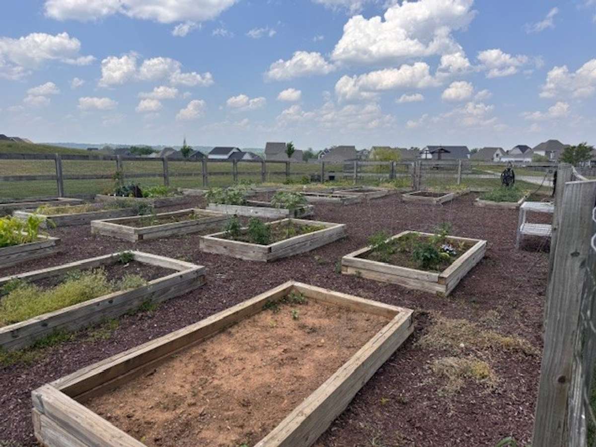 Planting area for community garden.