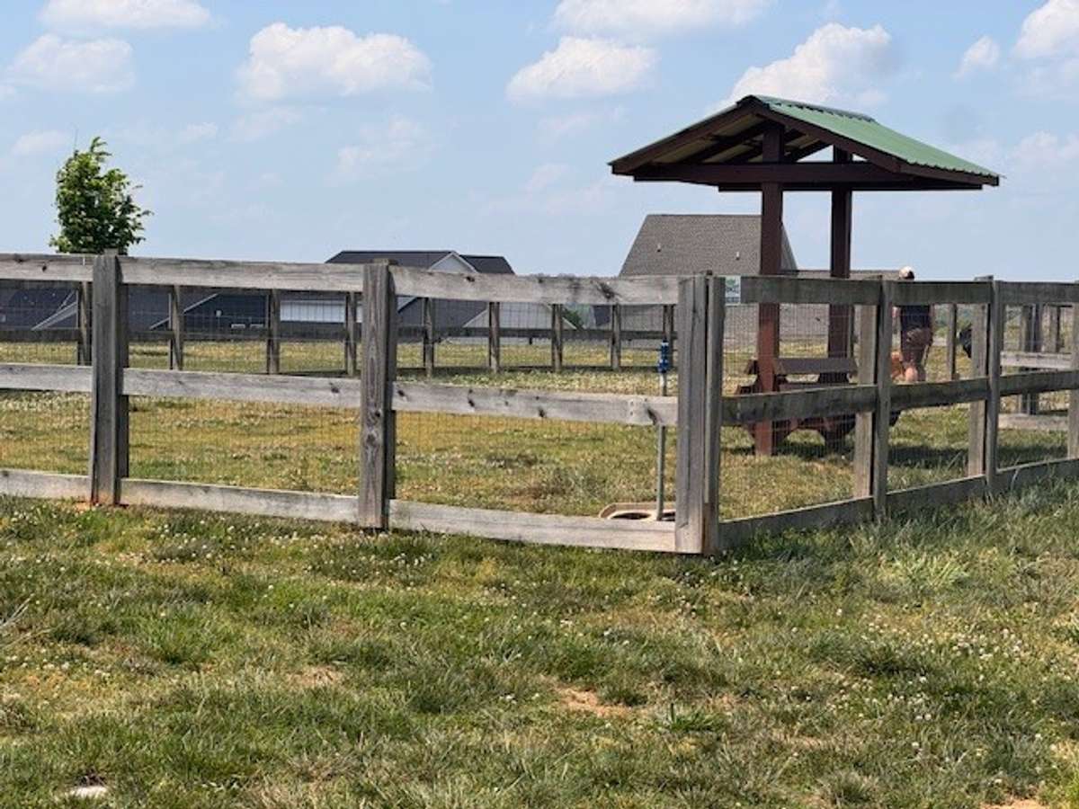 Dog park.