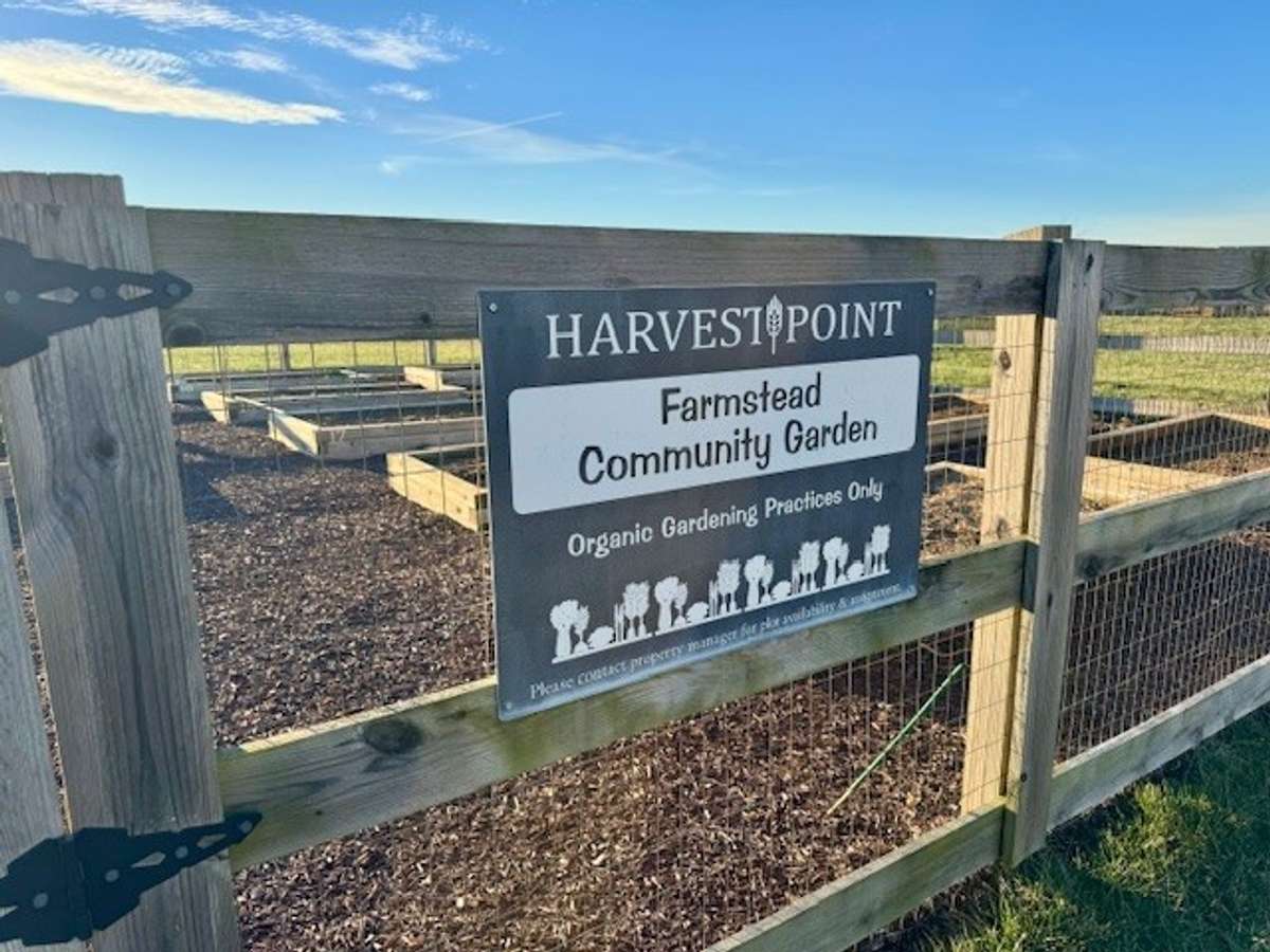 Community garden.