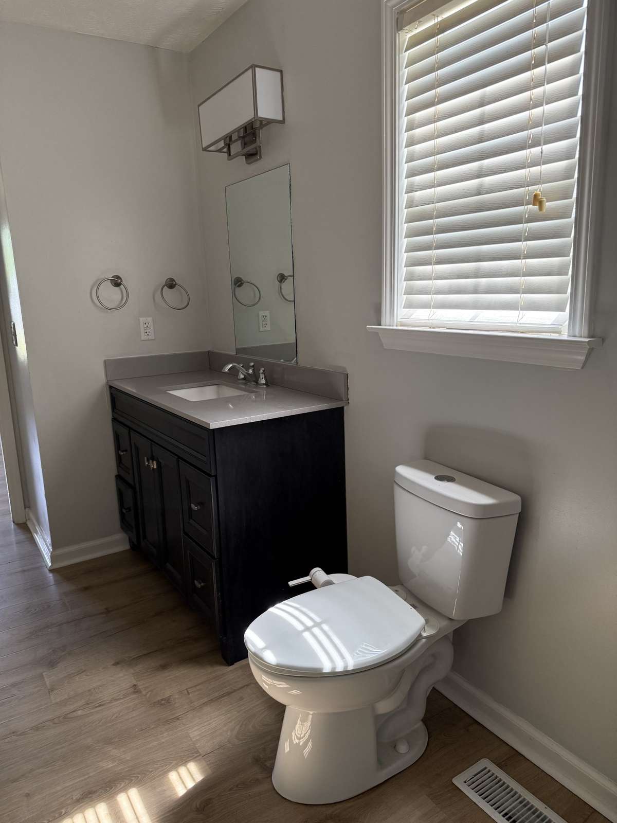 Plenty of natural light in primary bath.