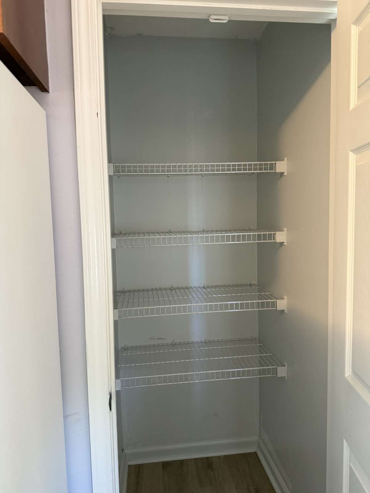 Shelves in kitchen pantry.