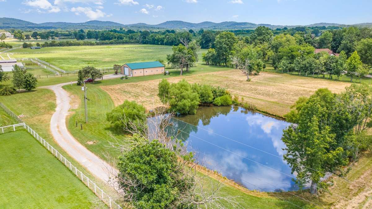 Yes, the pond is stocked and fish are jumping! The waterfowl stop through as well and you truly feel, "away from it all".