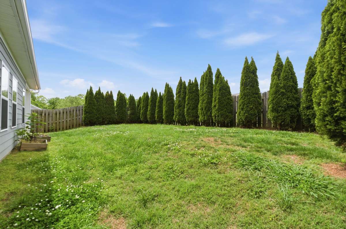 Beautiful arborvitae around the back fence provide extra privacy.