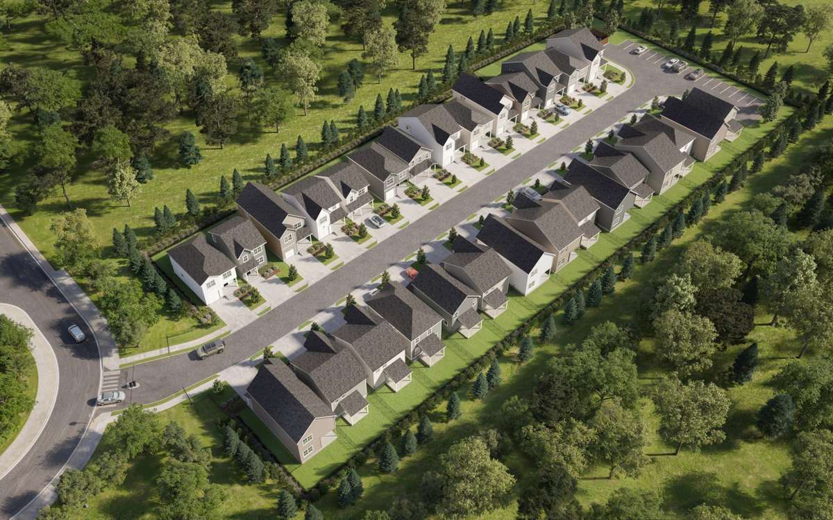rendering of community