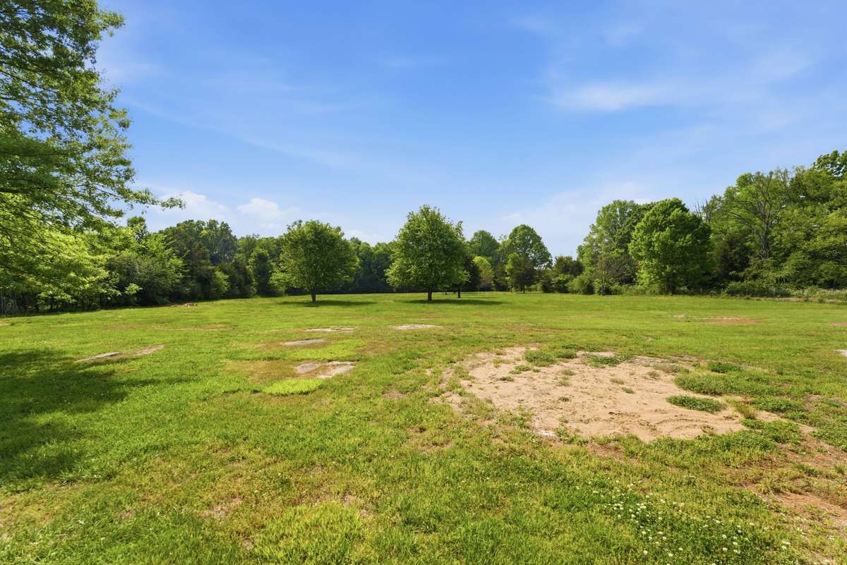 Plenty of room for pool and/or guest home. Have an opinion letter from soil scientist (2021) for more soils for another septic site.