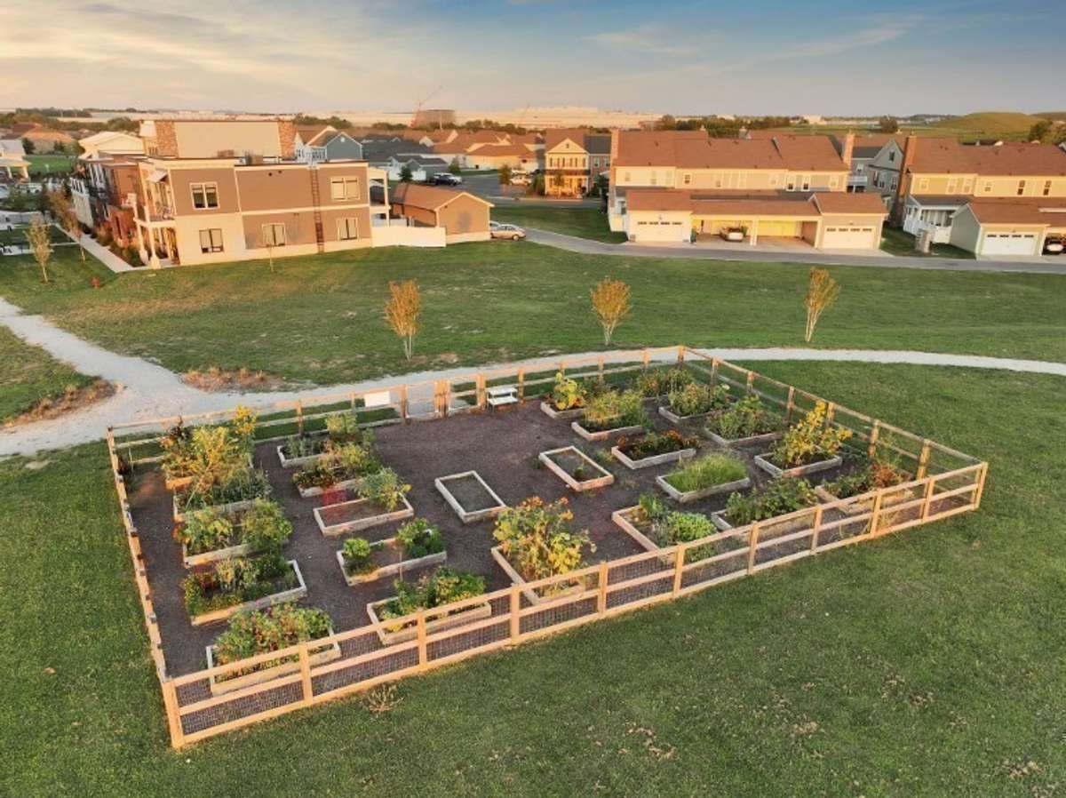 Community garden