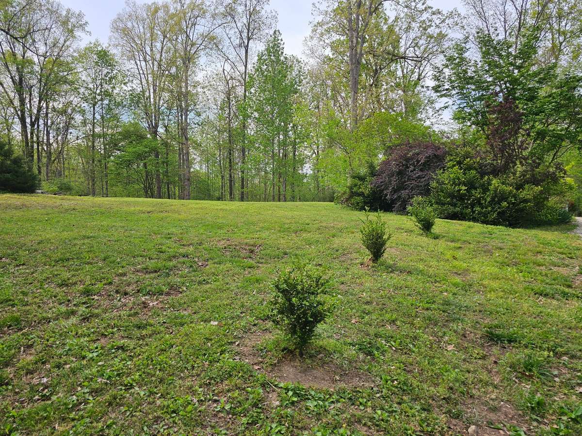 Perc site