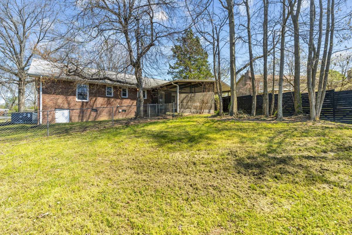 Large Level Backyard