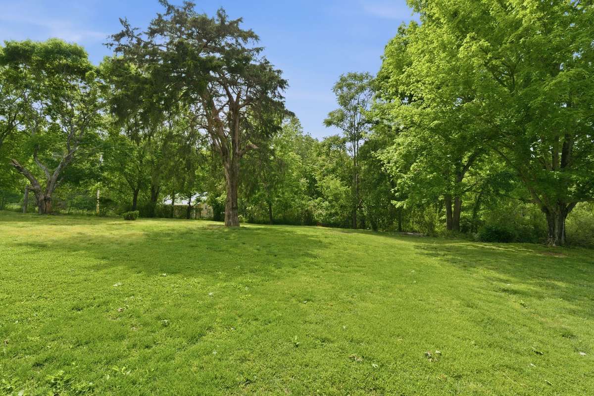 Gorgeous piece of property with endless possibilities
