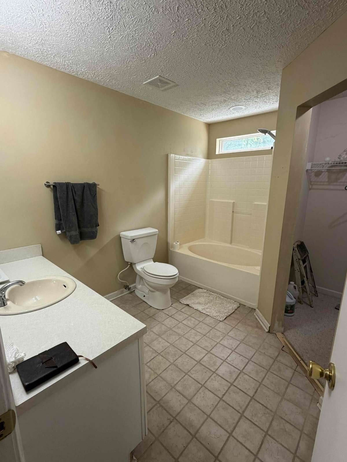 Full bathroom with single vanity, tub/shower combo, and walk-in closet access.
