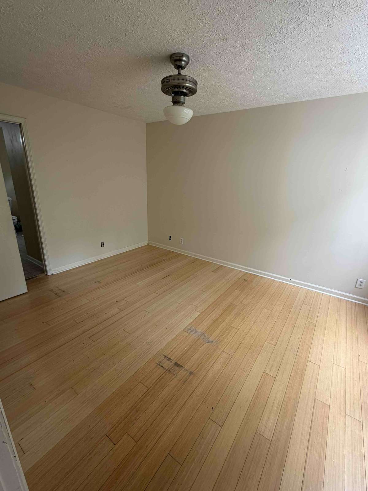 Primary bedroom featuring hardwood floors, neutral walls