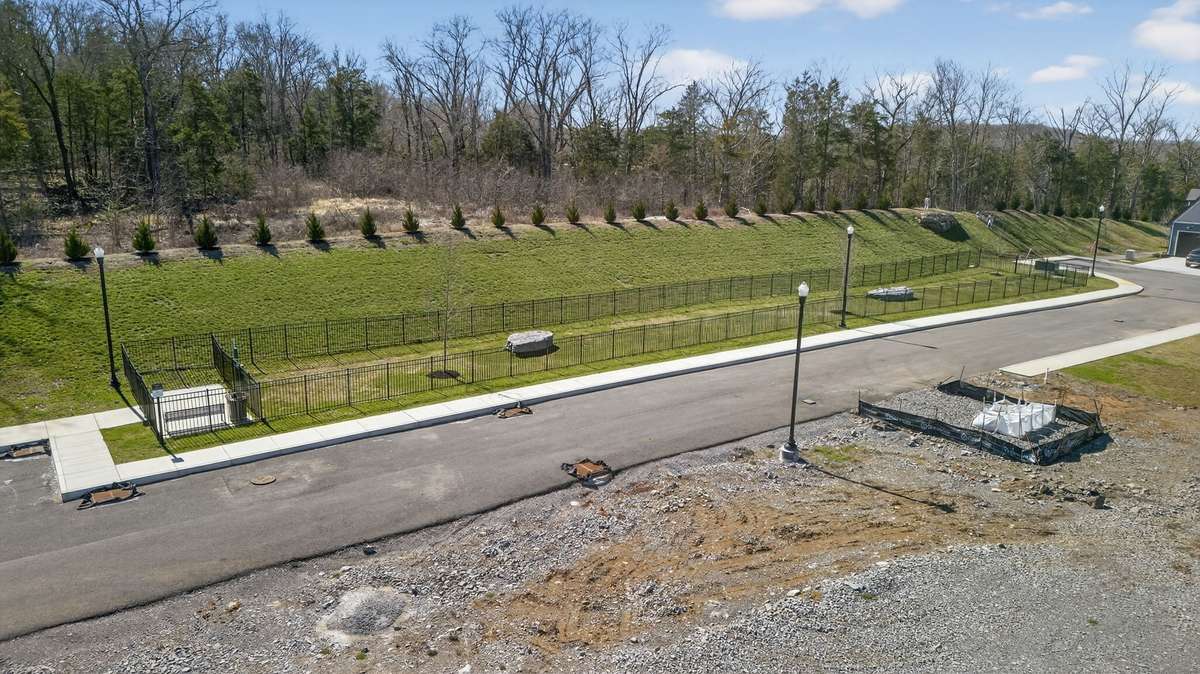 Dog Park
