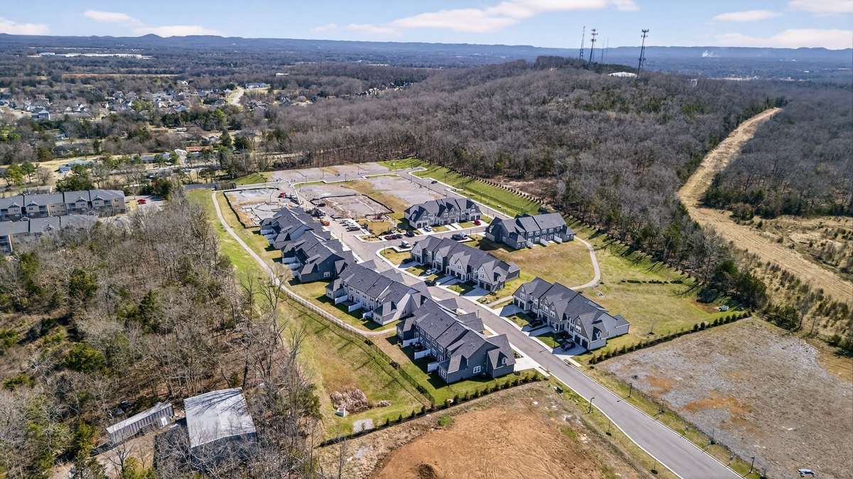 Drone view