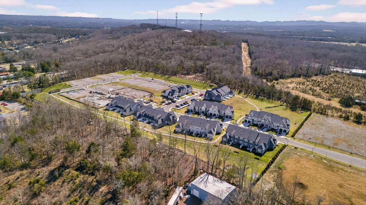 Drone view