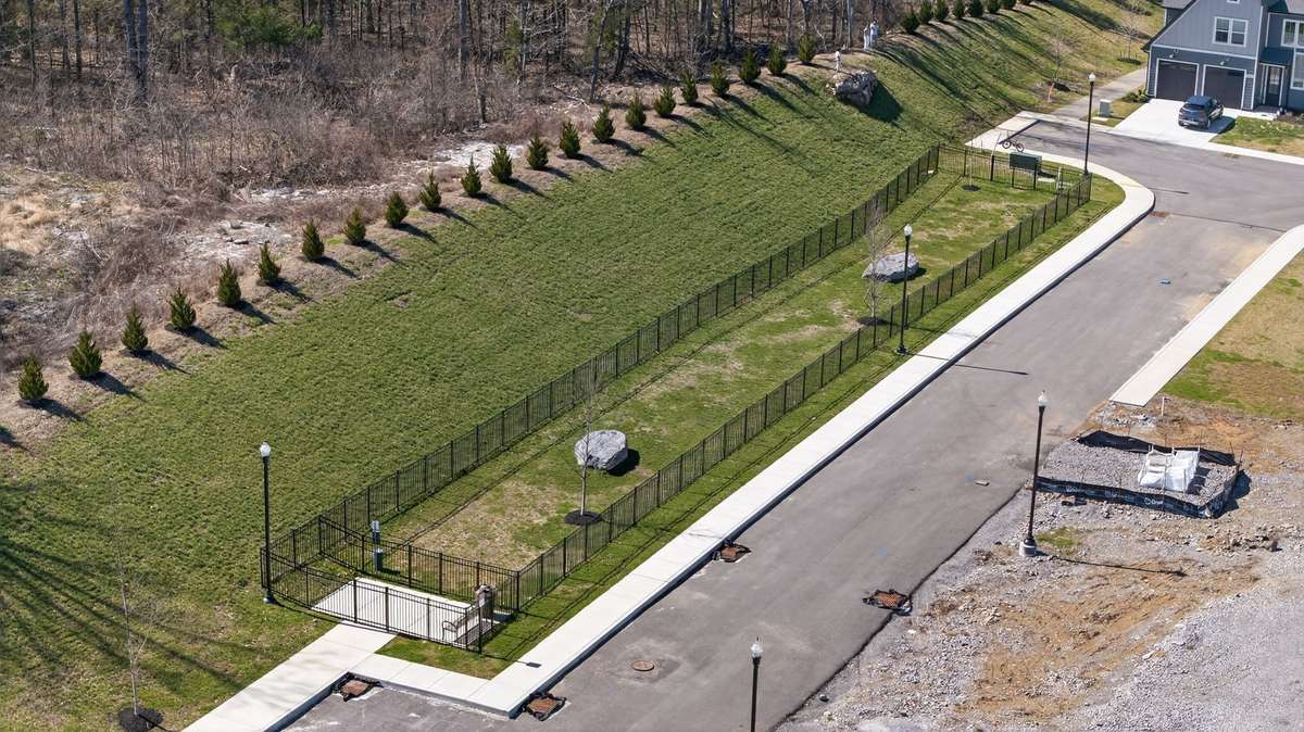 Dog Park