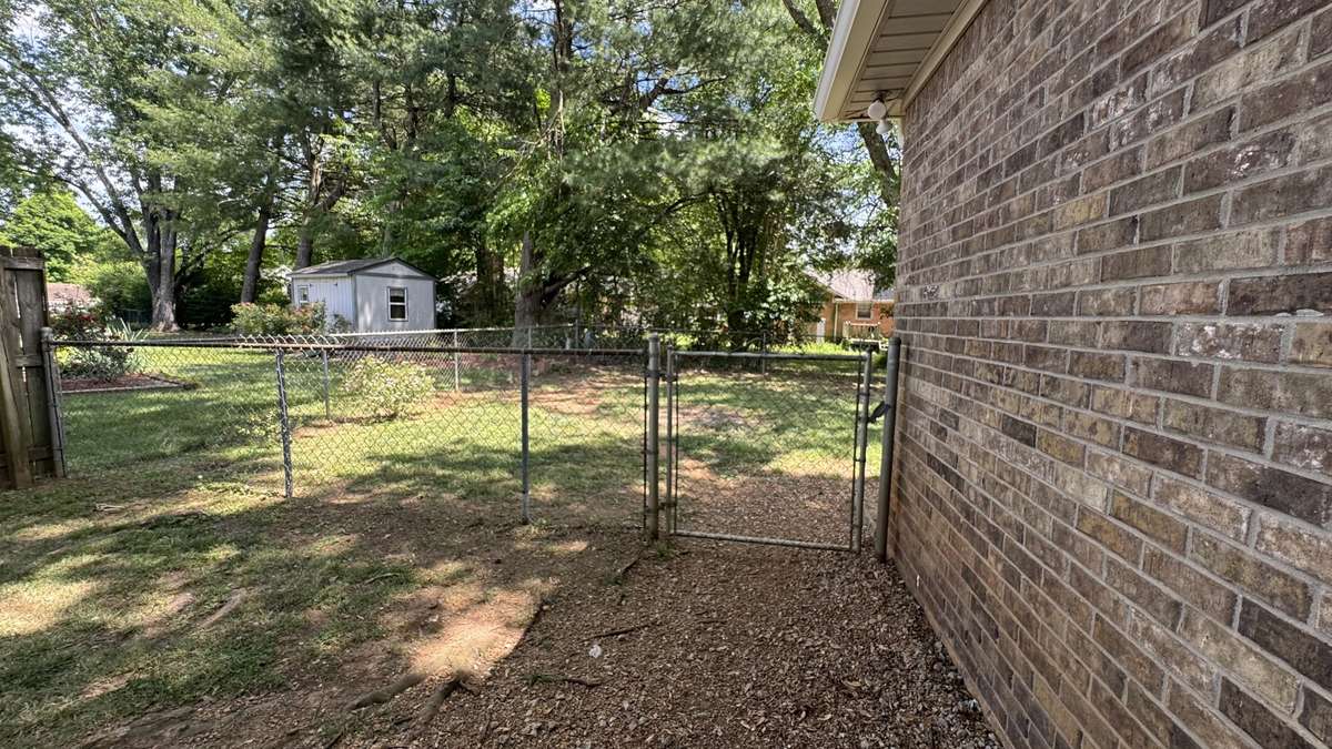 Back fence