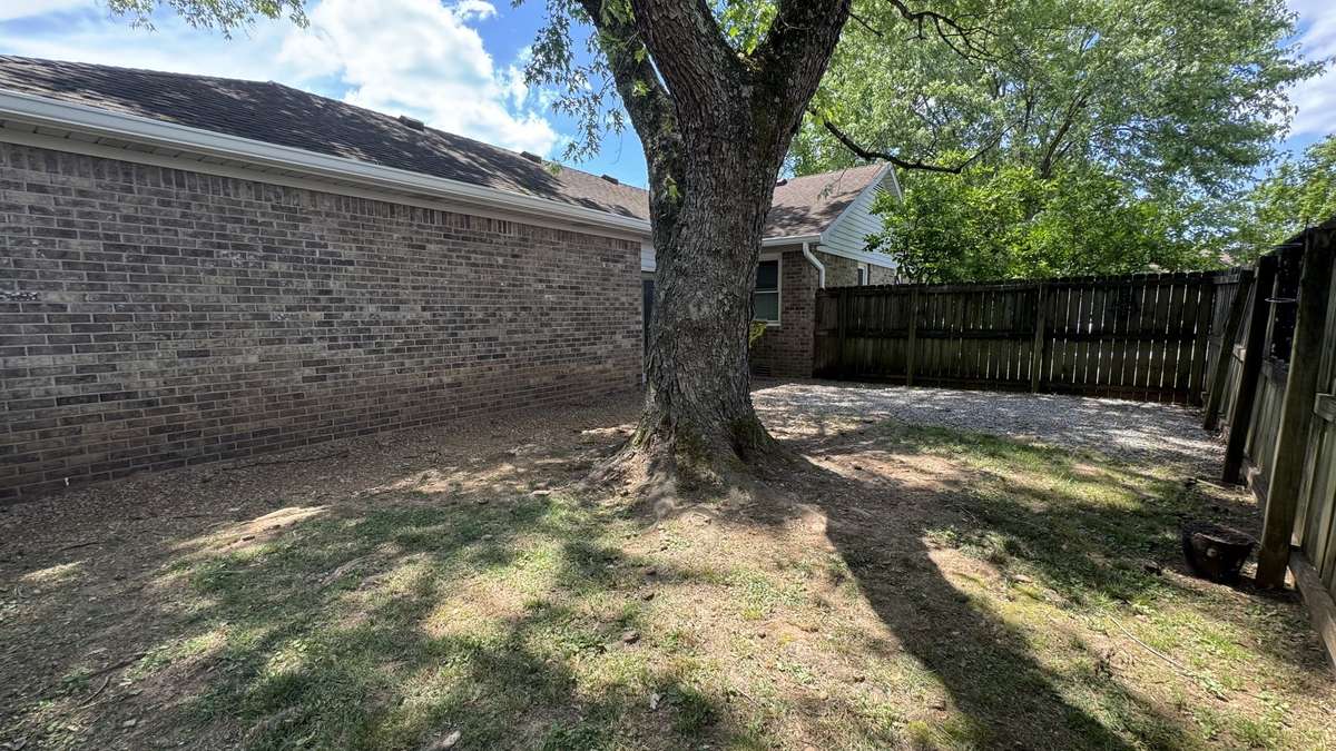 Mature shade trees!!