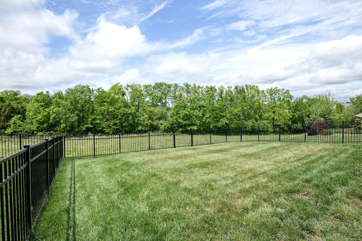 Yard fenced already and backing up to common area and woods