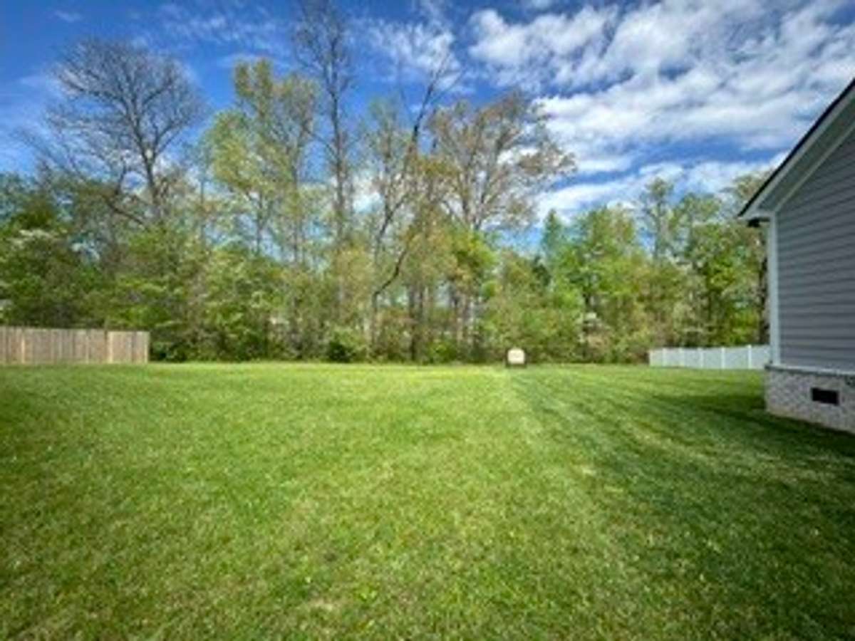 Spacious Back Yard.