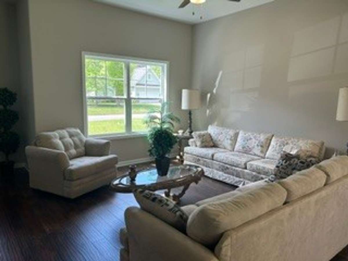 Lots of natural light in living room. Ceiling fan.