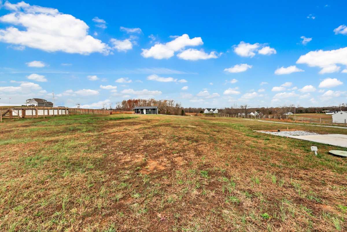 Spacious, level backyard that is fully fenced for privacy and peace of mind.