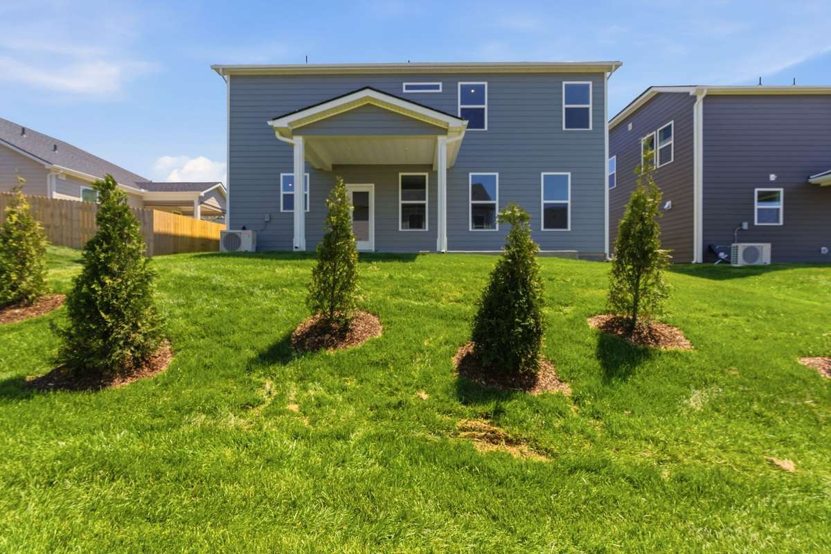 Planted trees on the rea of the property line
